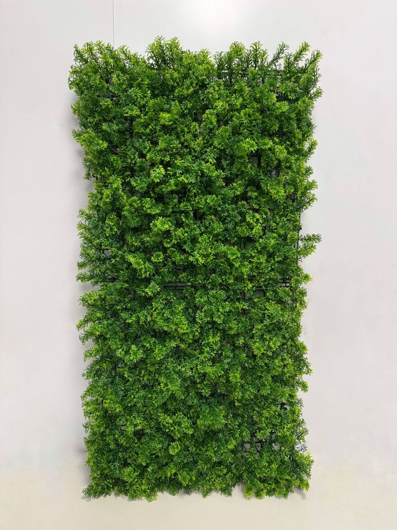 MUSCHIO VERDE