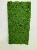 Load image into Gallery viewer, MUSCHIO RASO VERDE CHIARO

