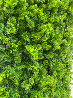 Load image into Gallery viewer, MUSCHIO VERDE
