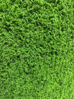 Load image into Gallery viewer, MUSCHIO RASO VERDE SCURO

