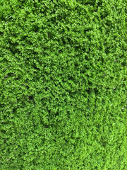 MUSCHIO RASO VERDE SCURO