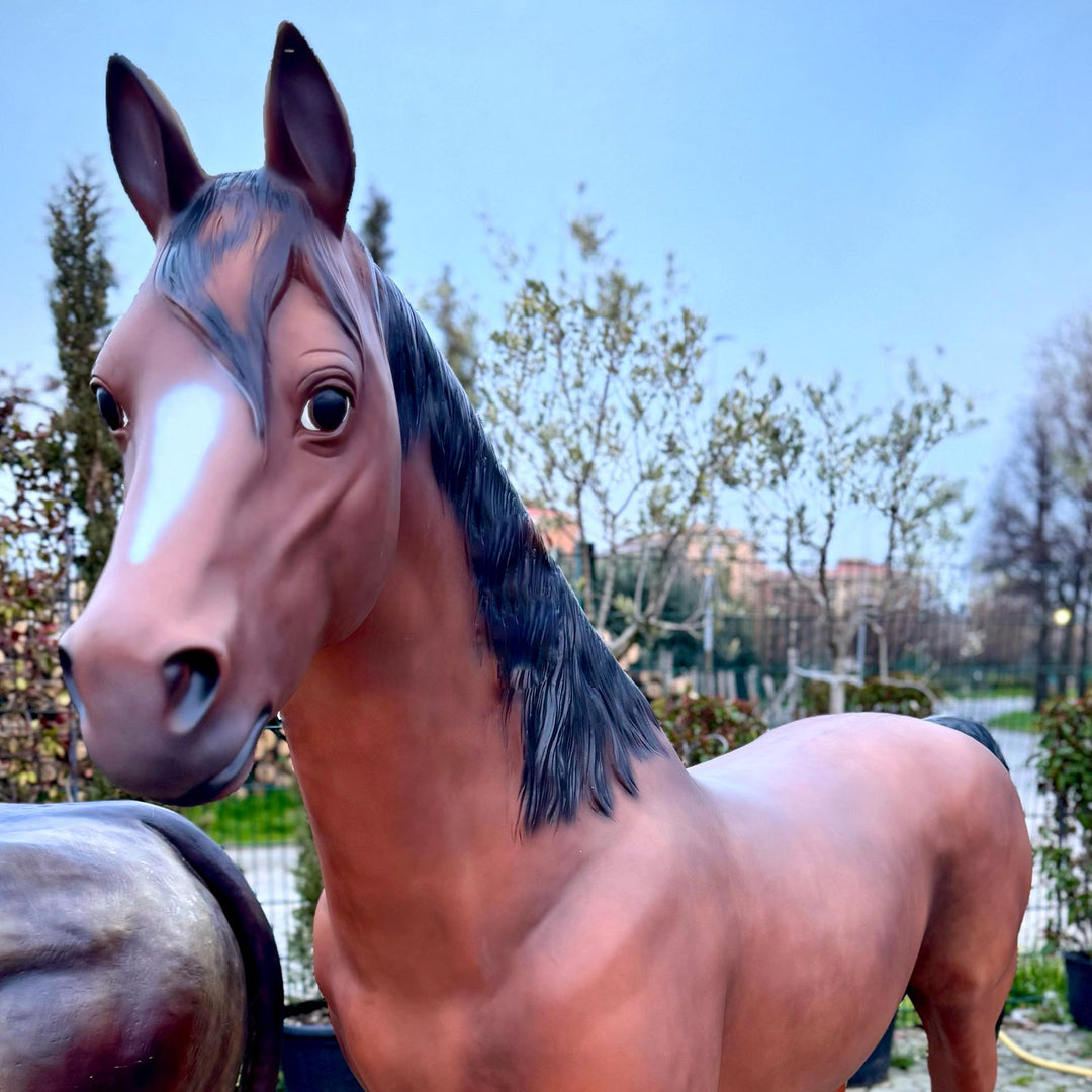 CAVALLO