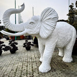 Load image into Gallery viewer, ELEFANTE BIANCO
