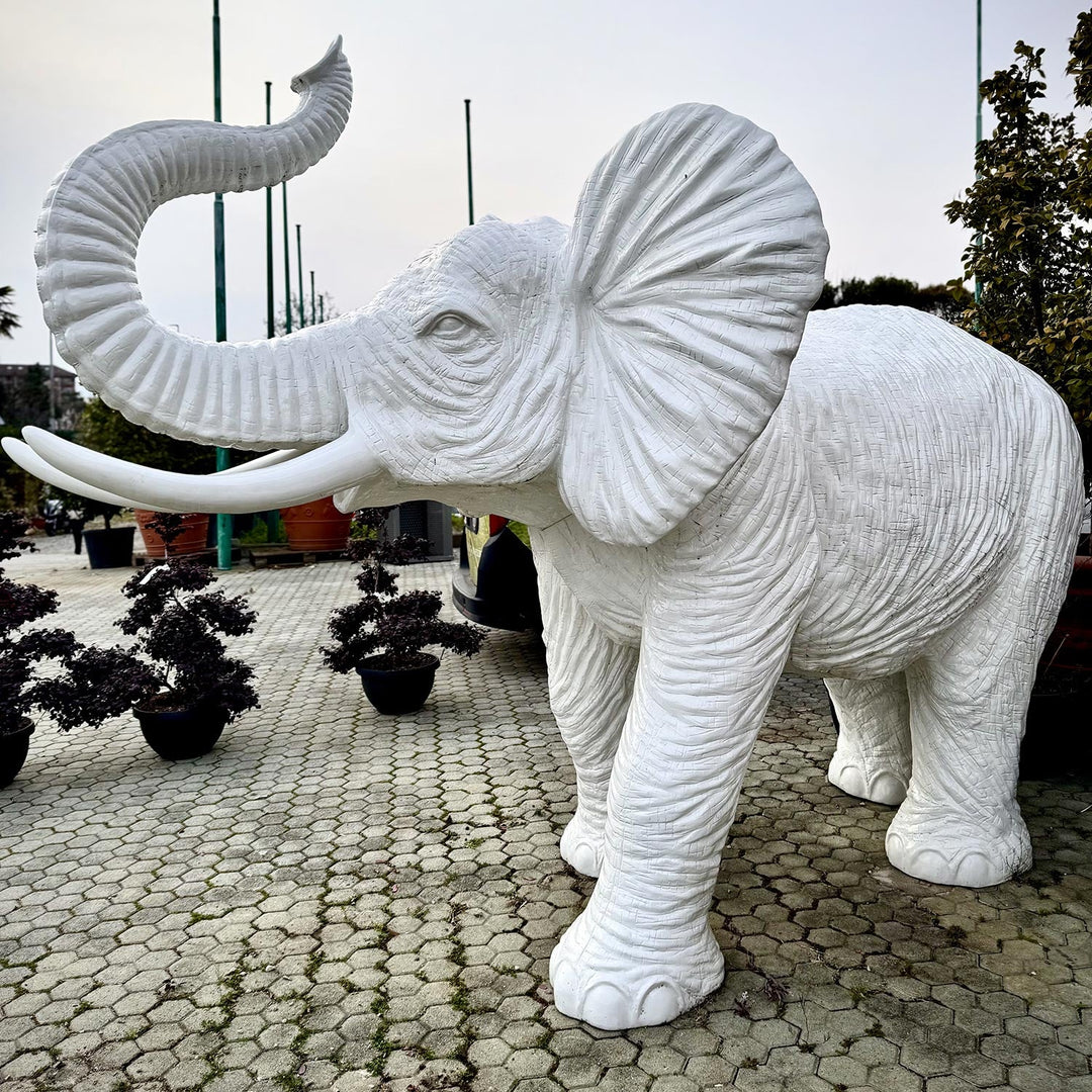 ELEFANTE BIANCO