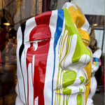 Load image into Gallery viewer, FACCIA MULTICOLOR
