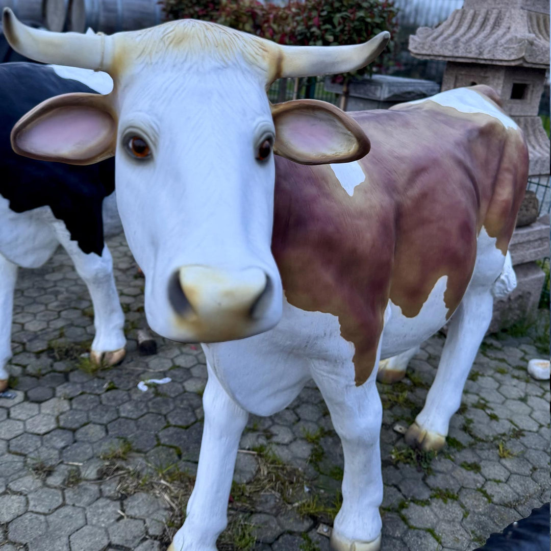 MUCCA XL BIANCA E MARRONE