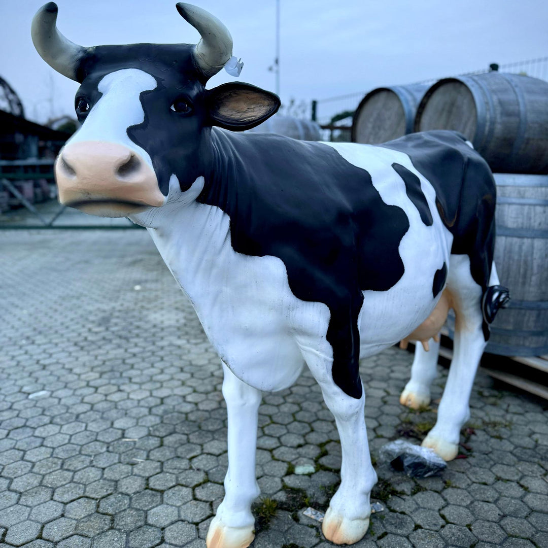 MUCCA XL BIANCA E NERA