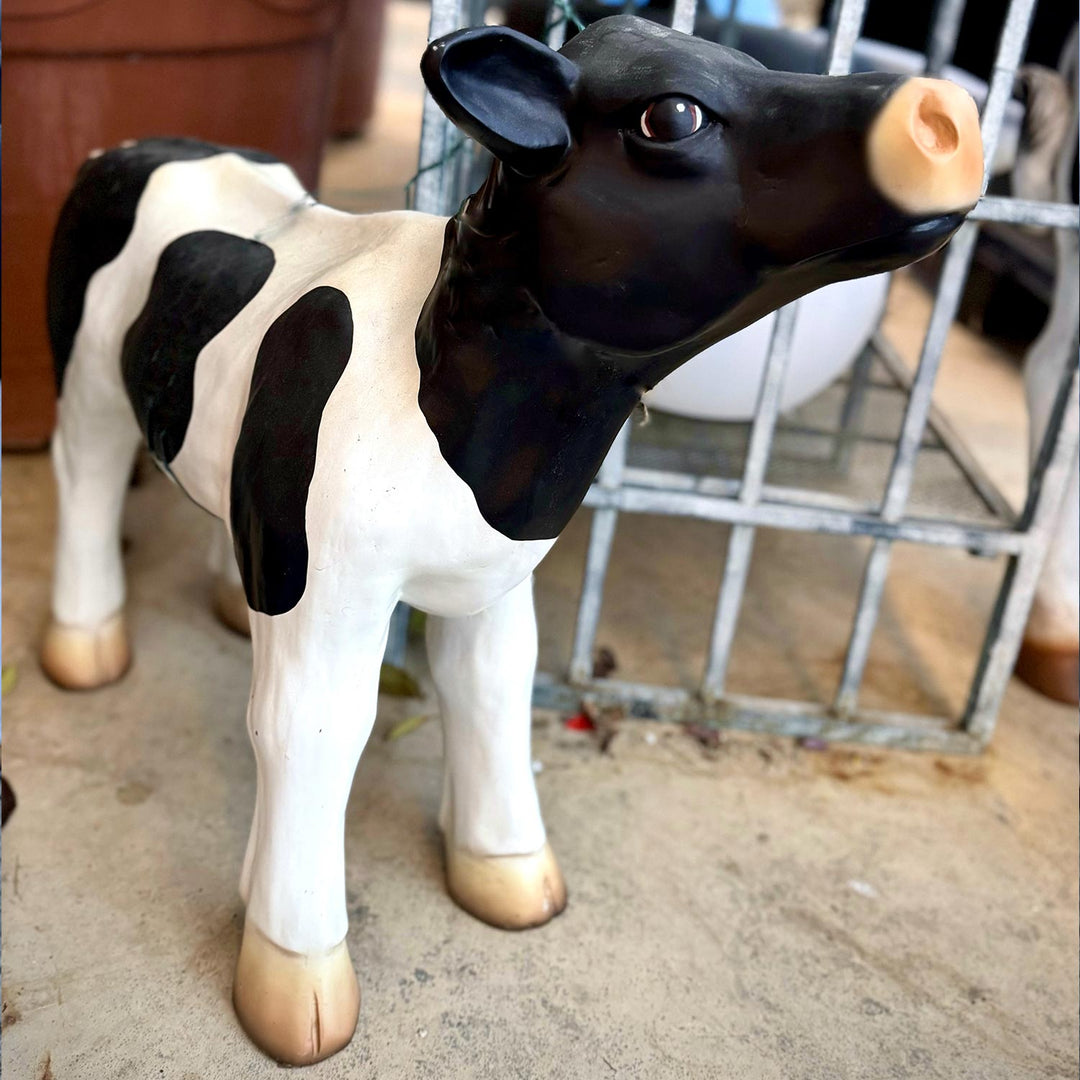MUCCA PICCOLA BIANCA E NERA