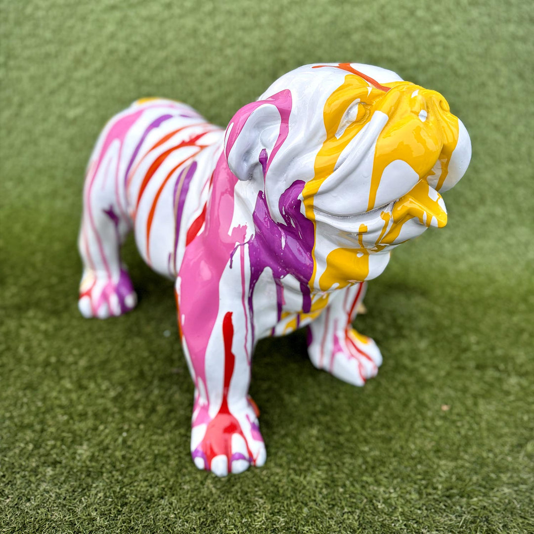 SHAR PEI MULTICOLOR SCHIZZI