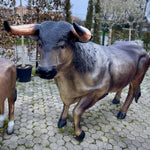 Load image into Gallery viewer, TORO
